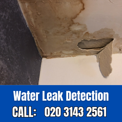 Expert Water Leak Detection Services in Harlesden | Harlesden Leak Detection